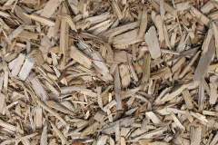 biomass boilers Portglenone
